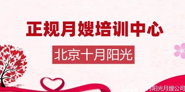 小学毕业可以考月嫂证吗？(图1)